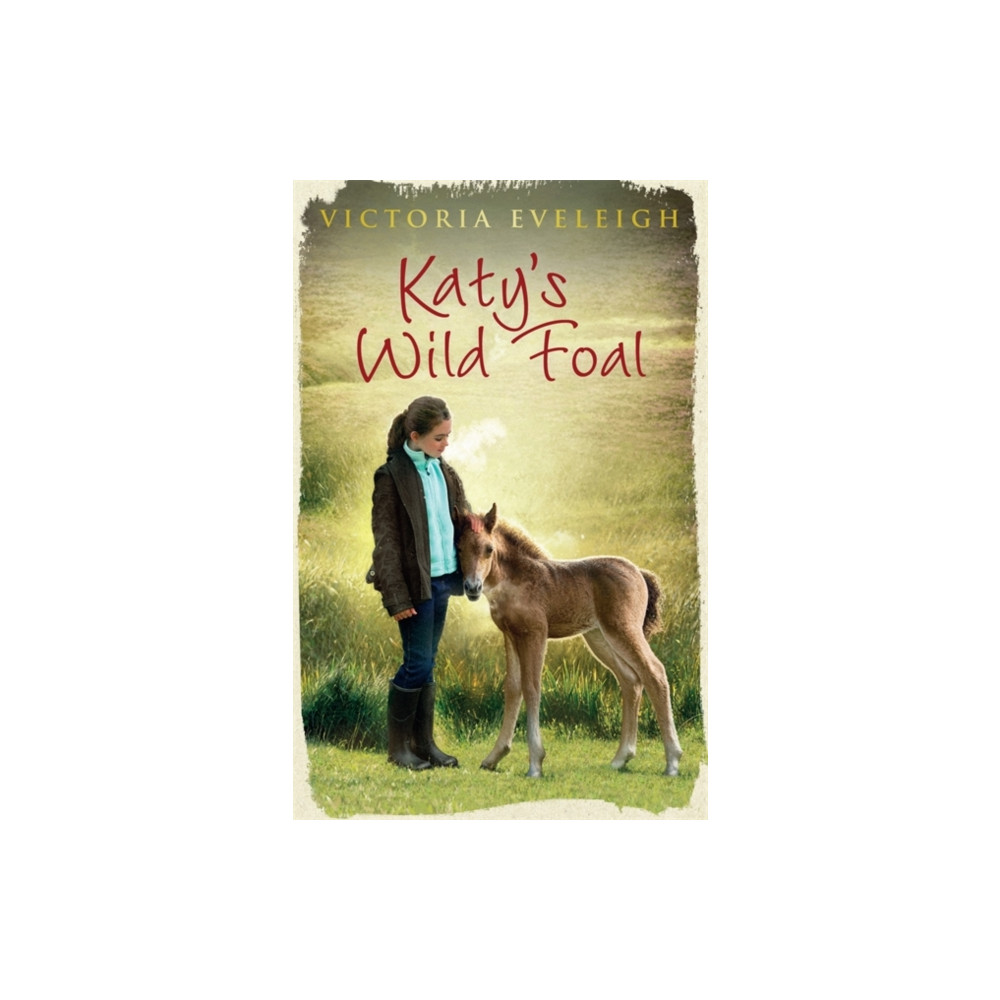 Produktbild för Katy's Exmoor Ponies: Katy's Wild Foal (häftad, eng)