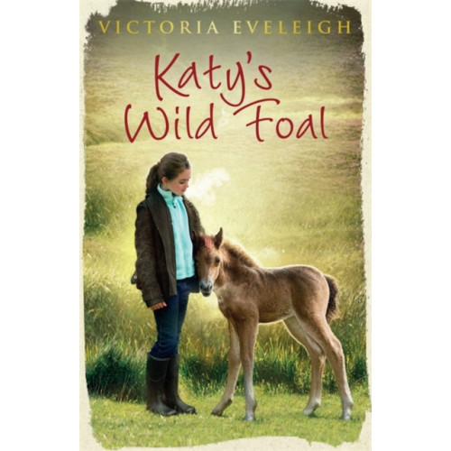Hachette Children's Group Katy's Exmoor Ponies: Katy's Wild Foal (häftad, eng)