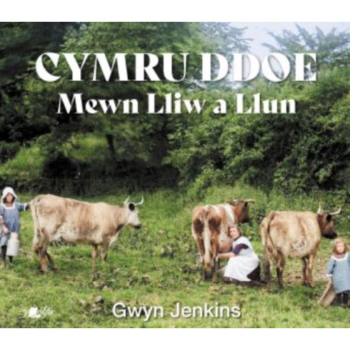 Y Lolfa Cymru Ddoe Mewn Lliw a Llun (inbunden, wel)