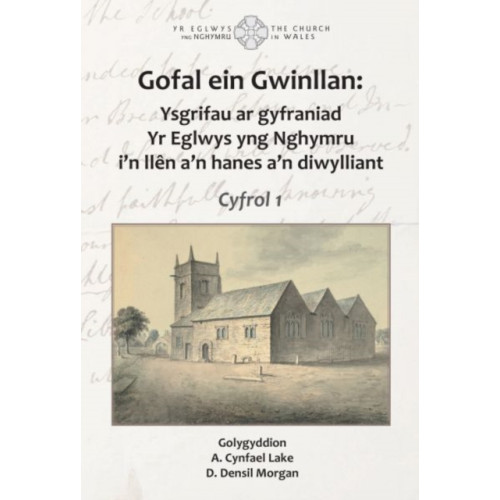 Y Lolfa Gofal ein Gwinllan (häftad, wel)