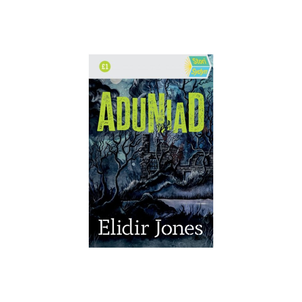 Produktbild för Stori Sydyn: Aduniad (häftad, wel)