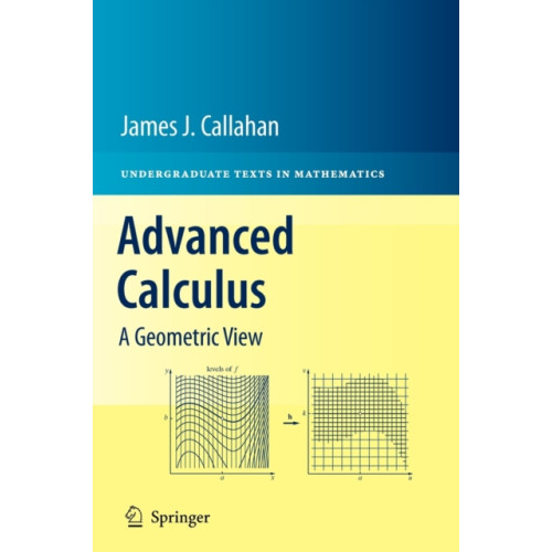 Springer-Verlag New York Inc. Advanced Calculus (inbunden, eng)