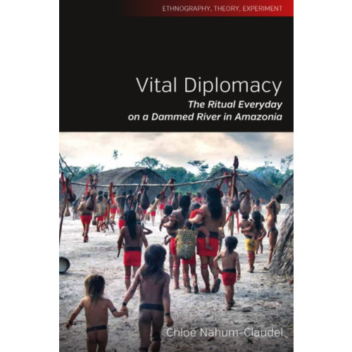 Berghahn Books Vital Diplomacy (häftad, eng)