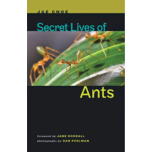 Johns Hopkins University Press Secret Lives of Ants (inbunden, eng)