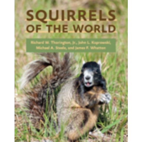 Johns Hopkins University Press Squirrels of the World (inbunden, eng)