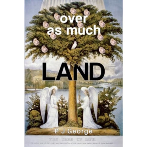 Pegasus Elliot Mackenzie Publishers Over As Much Land (häftad, eng)