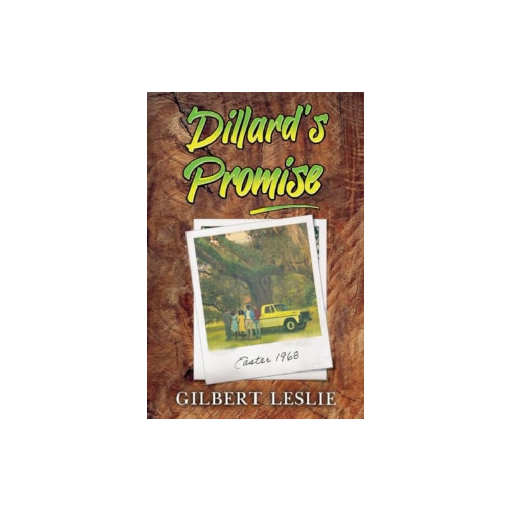 Produktbild för Dillard's Promise (häftad, eng)