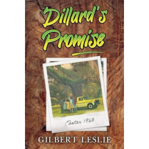 Pegasus Elliot Mackenzie Publishers Dillard's Promise (häftad, eng)