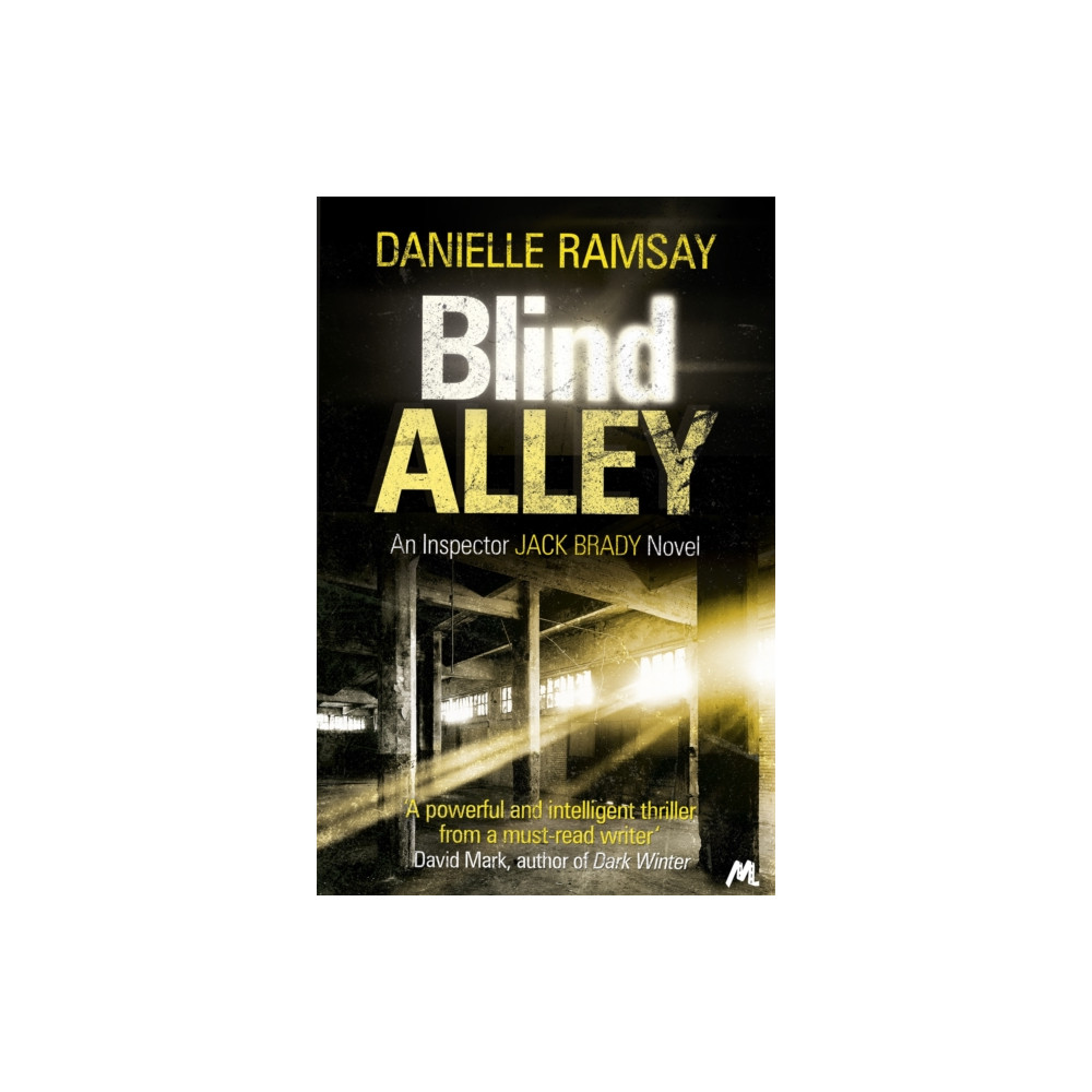 Produktbild för Blind Alley (häftad, eng)