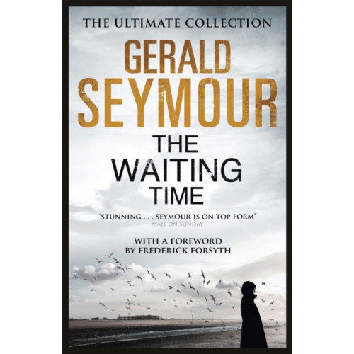 Hodder & Stoughton The Waiting Time (häftad, eng)