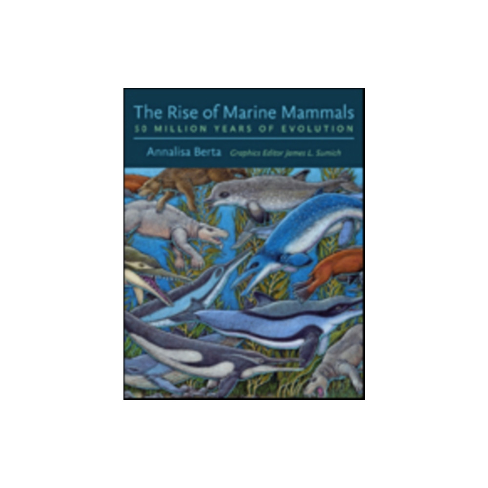 Produktbild för The Rise of Marine Mammals (inbunden, eng)