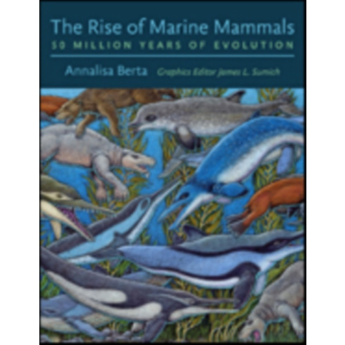 Johns Hopkins University Press The Rise of Marine Mammals (inbunden, eng)