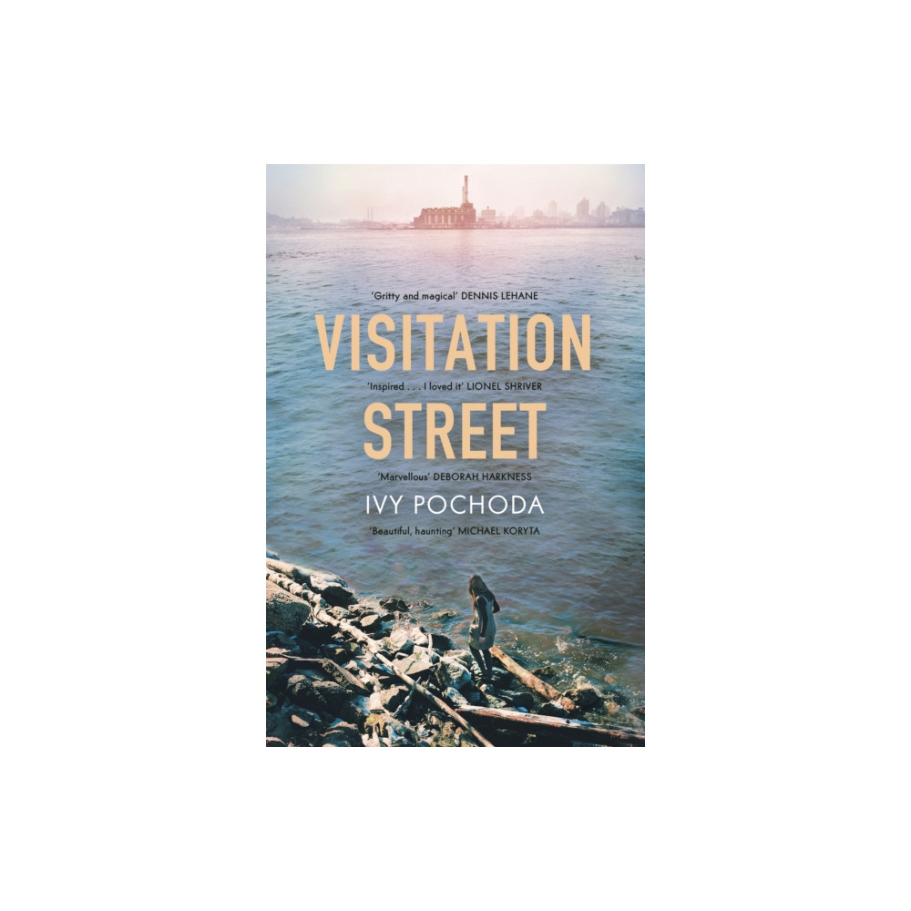 Produktbild för Visitation Street (häftad, eng)