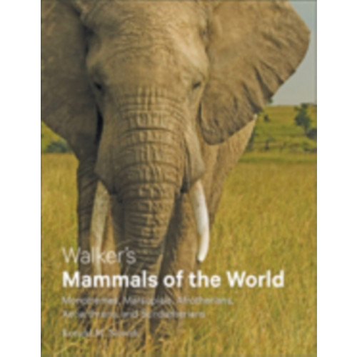 Johns Hopkins University Press Walker's Mammals of the World (inbunden, eng)