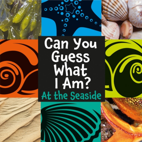 Hachette Children's Group Can You Guess What I Am?: At the Seaside (häftad, eng)
