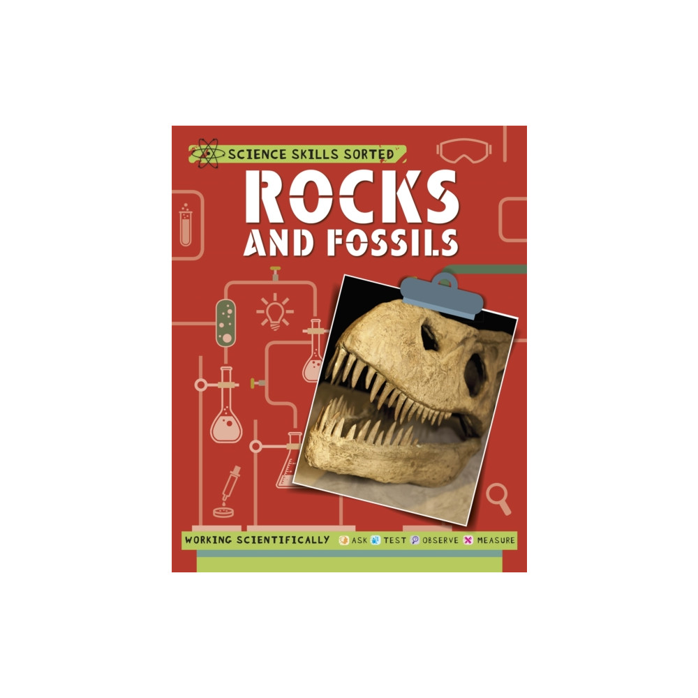Produktbild för Science Skills Sorted!: Rocks and Fossils (häftad, eng)