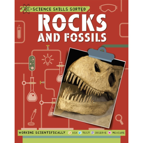Hachette Children's Group Science Skills Sorted!: Rocks and Fossils (häftad, eng)