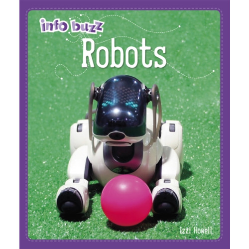 Hachette Children's Group Info Buzz: S.T.E.M: Robots (häftad, eng)