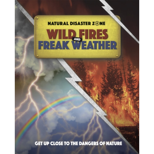 Hachette Children's Group Natural Disaster Zone: Wildfires and Freak Weather (häftad, eng)