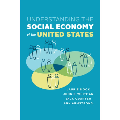 University of Toronto Press Understanding the Social Economy of the United States (häftad, eng)