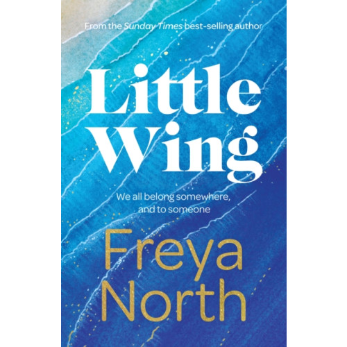 Headline Publishing Group Little Wing (inbunden, eng)
