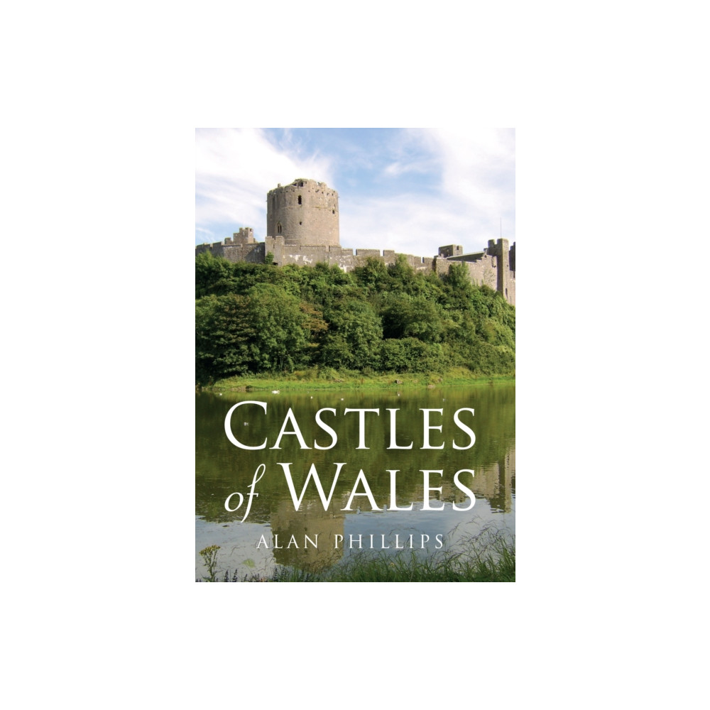Produktbild för Castles of Wales (häftad, eng)