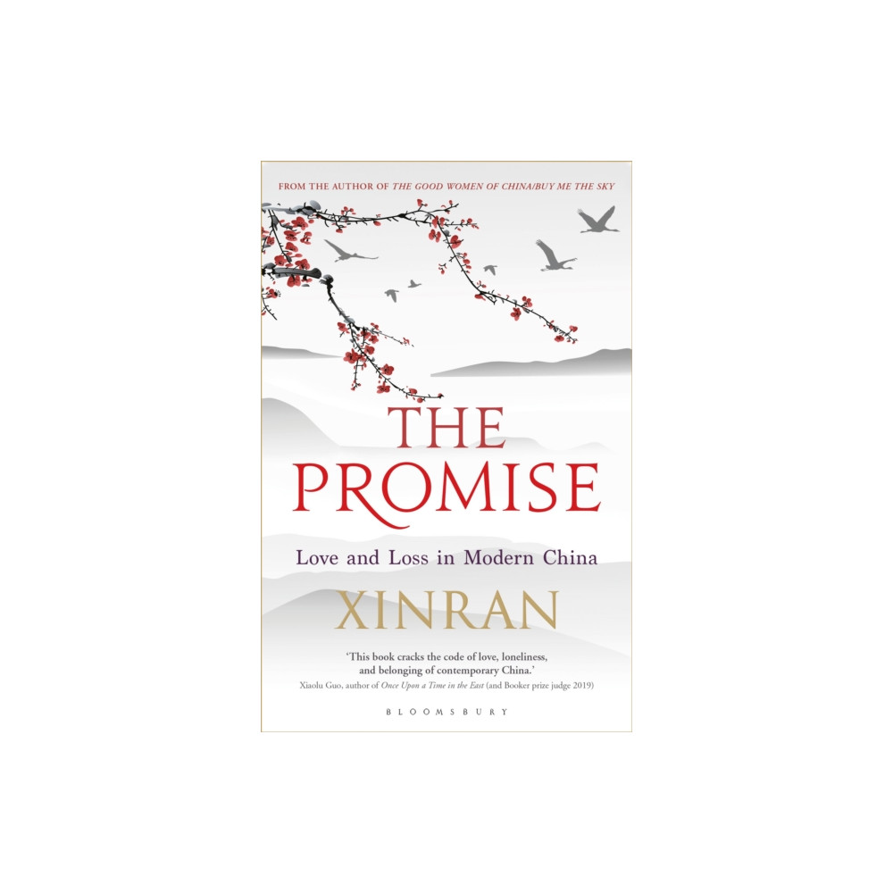 Produktbild för The Promise (häftad, eng)