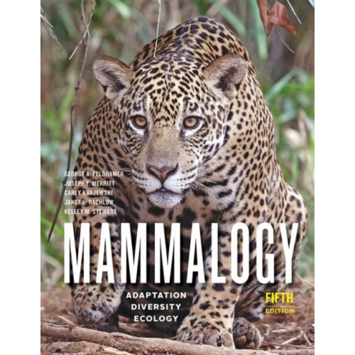 Johns Hopkins University Press Mammalogy (inbunden, eng)