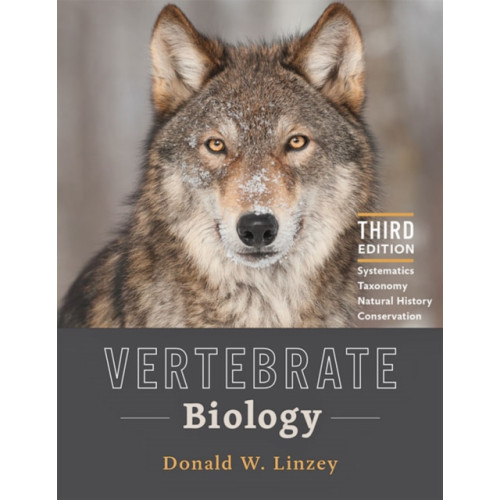 Johns Hopkins University Press Vertebrate Biology (inbunden, eng)
