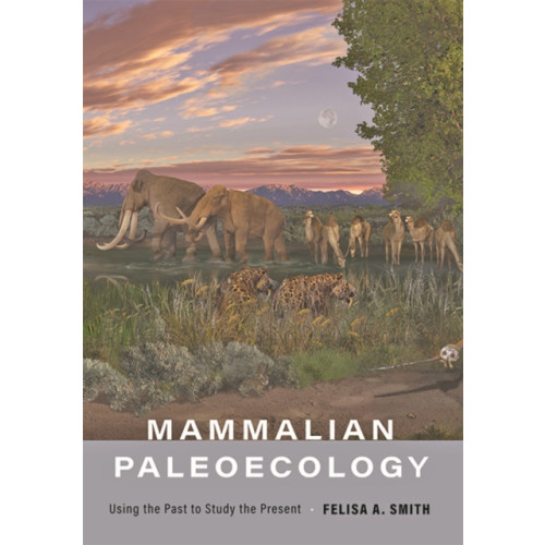 Johns Hopkins University Press Mammalian Paleoecology (inbunden, eng)