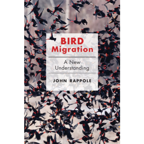 Johns Hopkins University Press Bird Migration (inbunden, eng)