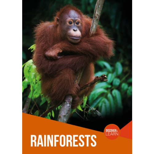 BookLife Publishing Rainforests (häftad, eng)
