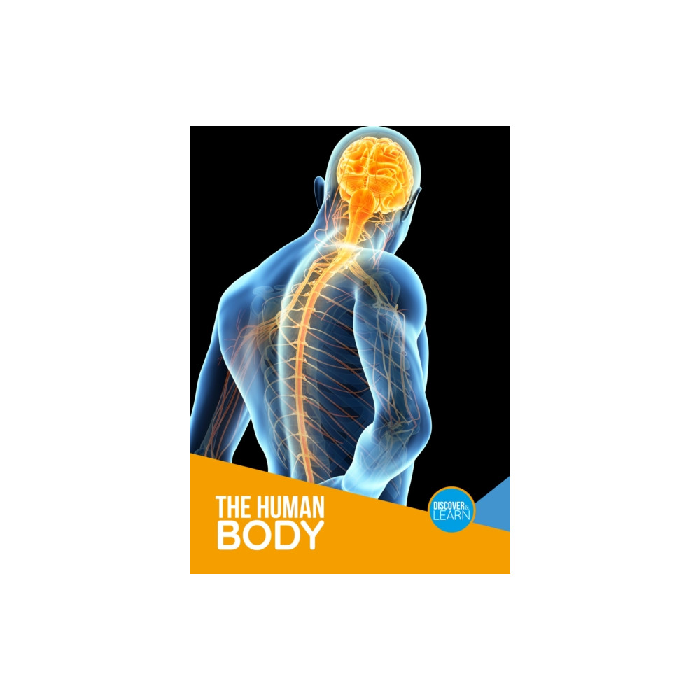 Produktbild för The Human Body (häftad, eng)