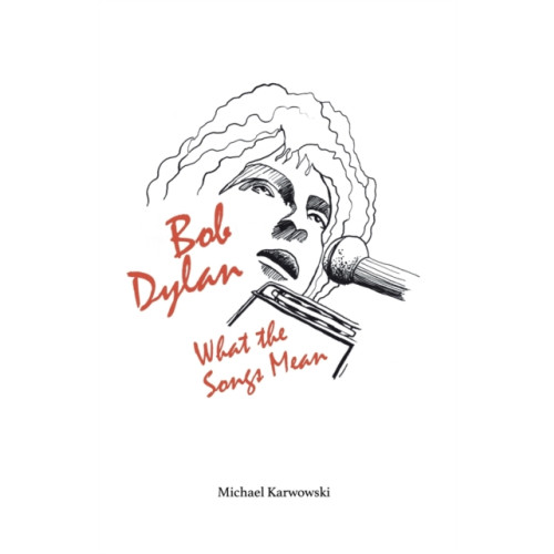 Troubador Publishing Bob Dylan: What the Songs Mean (häftad, eng)