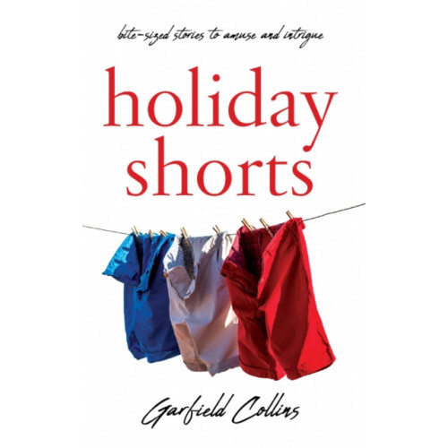 Troubador Publishing Holiday Shorts (häftad, eng)