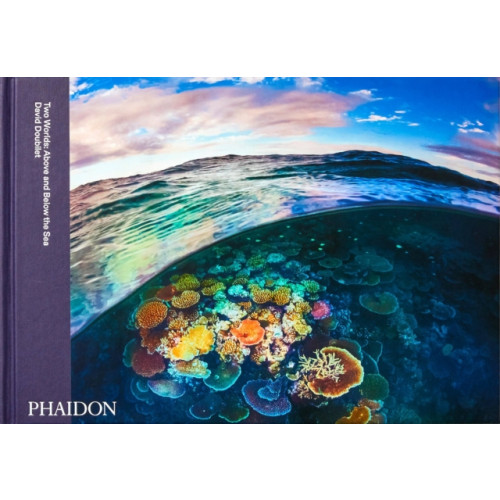 Phaidon Press Ltd Two Worlds (inbunden, eng)