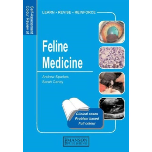 Manson Publishing Ltd Feline Medicine (häftad, eng)