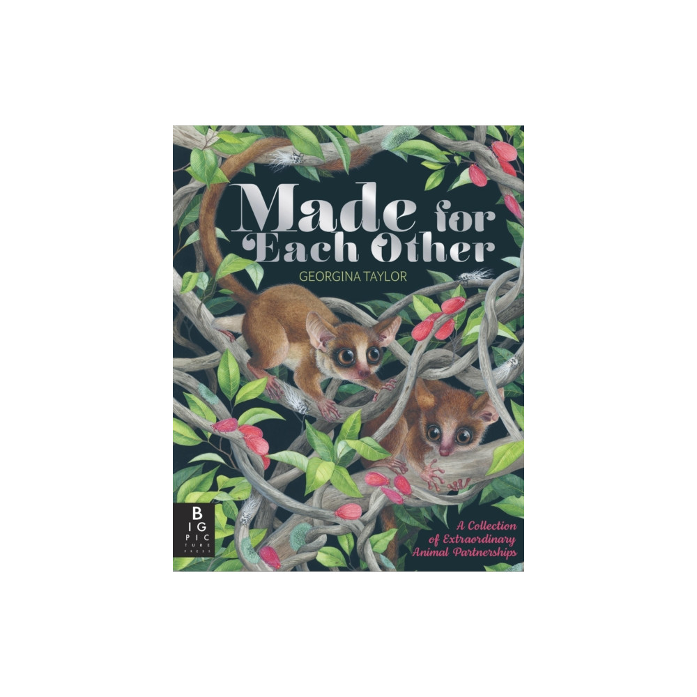 Produktbild för Made for Each Other (inbunden, eng)