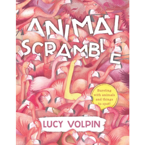 Templar Publishing Animal Scramble (häftad, eng)