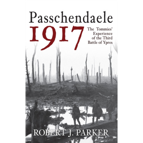 Amberley Publishing Passchendaele 1917 (häftad, eng)