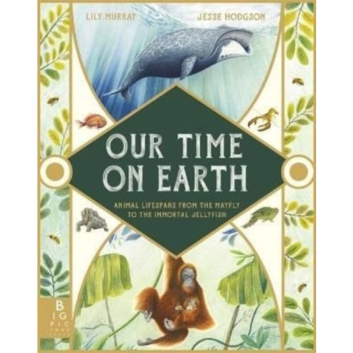 Templar Publishing Our Time on Earth (inbunden, eng)