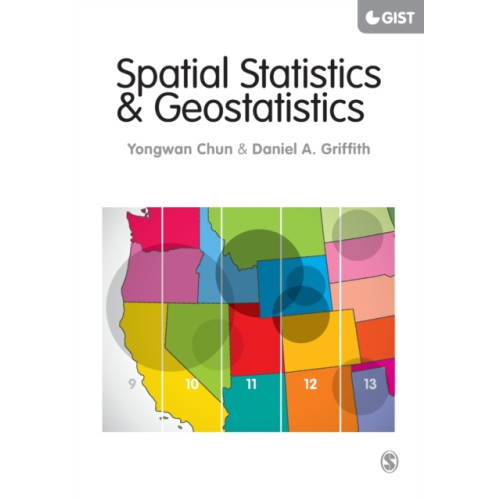 Sage Publications Ltd Spatial Statistics and Geostatistics (häftad, eng)