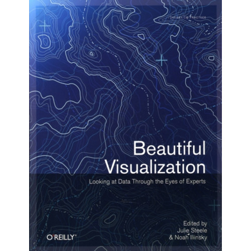 O'Reilly Media Beautiful Visualization : Looking At Data Through The Eyes Of Experts (häftad, eng)