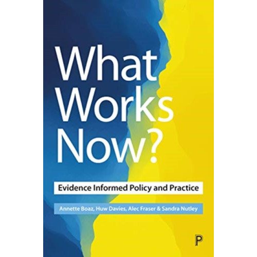 Bristol University Press What Works Now? (häftad, eng)