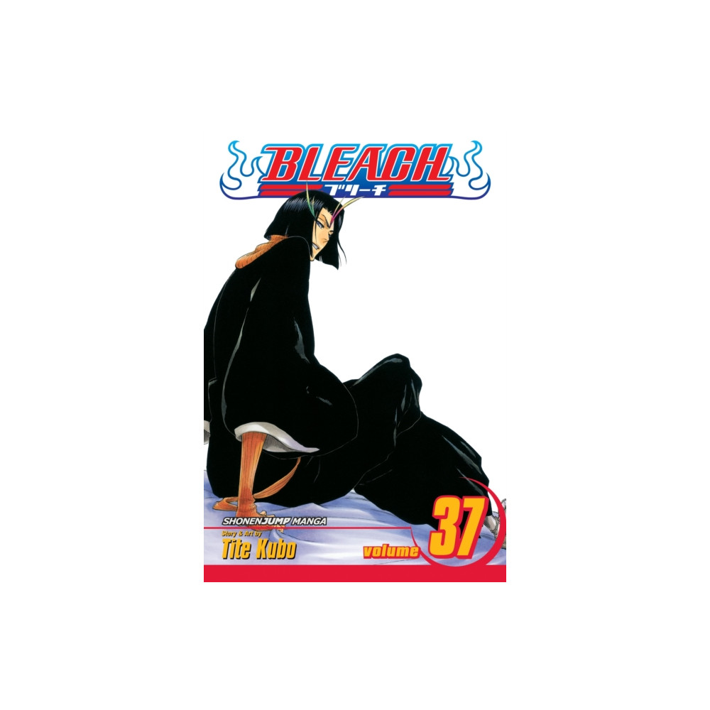 Produktbild för Bleach, Vol. 37 (häftad, eng)