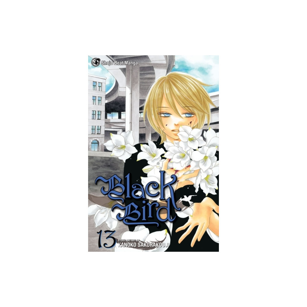 Produktbild för Black Bird, Vol. 13 (häftad, eng)