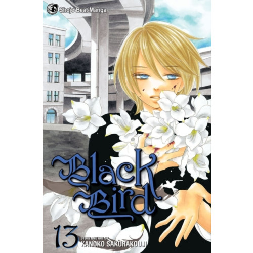 Viz Media, Subs. of Shogakukan Inc Black Bird, Vol. 13 (häftad, eng)