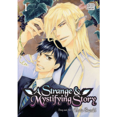 Viz Media, Subs. of Shogakukan Inc A Strange & Mystifying Story, Vol. 1 (häftad, eng)