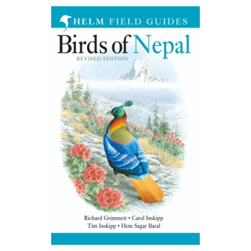 Bloomsbury Publishing PLC Field Guide to the Birds of Nepal (häftad, eng)
