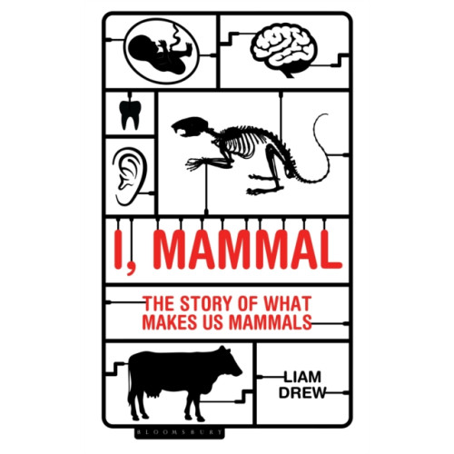 Bloomsbury Publishing PLC I, Mammal (häftad, eng)